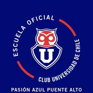 Logo escuela oficial Universidad de Chile Puente Alto